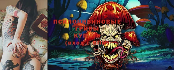 меф Белокуриха