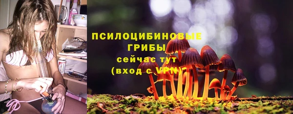 меф Белокуриха